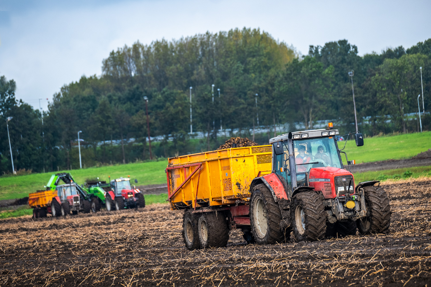 De Aardappelboer - Foto door Rogier Bos