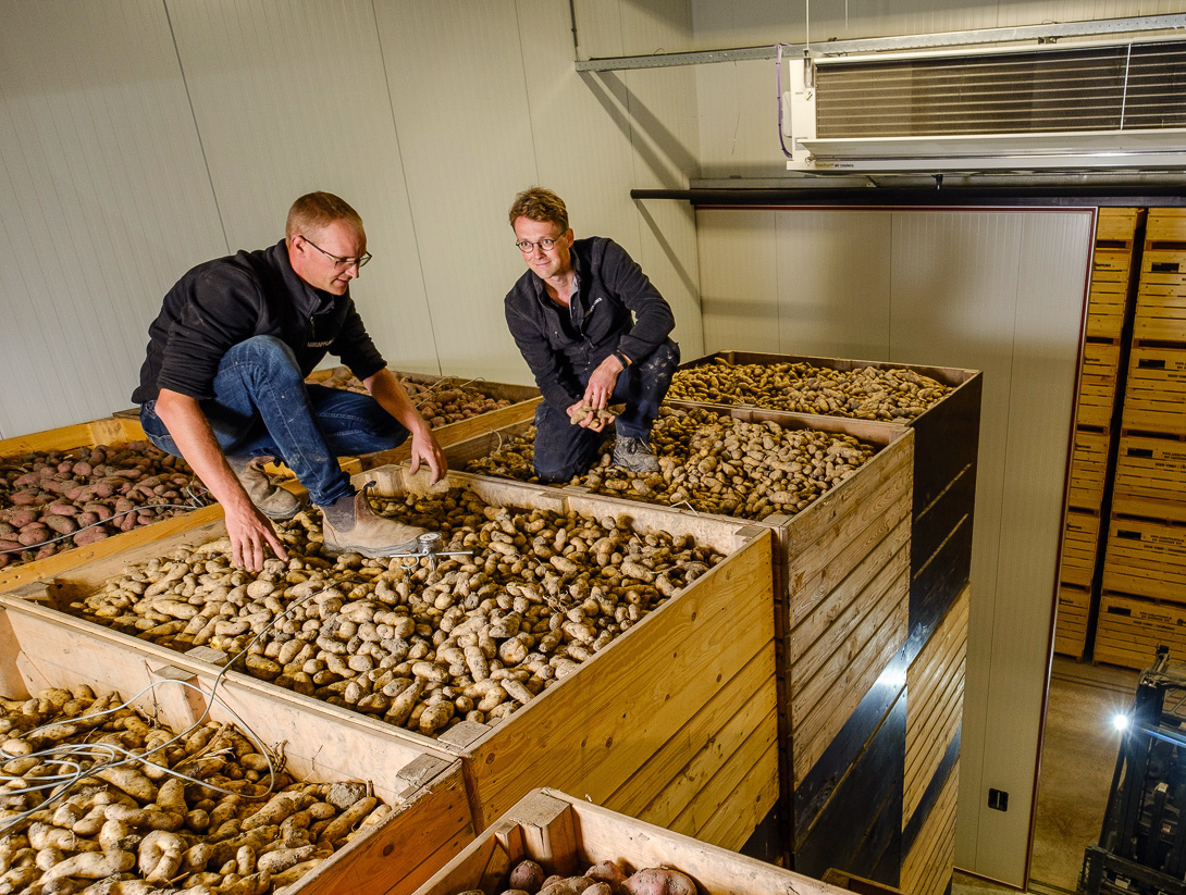 De Aardappelboer - Foto door Rogier Bos