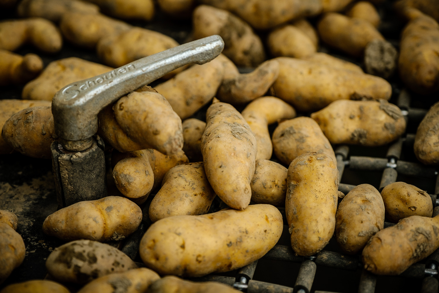 De Aardappelboer - Foto door Rogier Bos